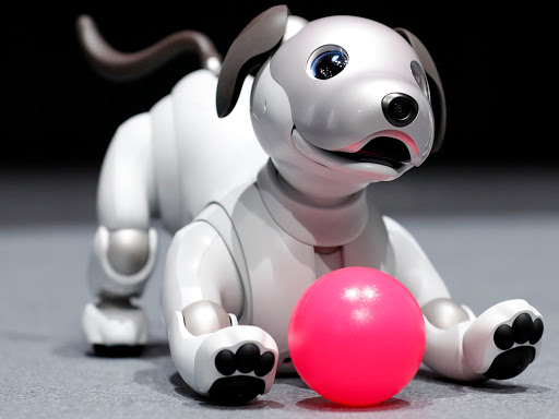 AI Aibo หุ่นยนต์สุนัข -จาก Sony