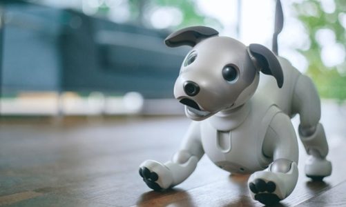AI Aibo หุ่นยนต์สุนัข
