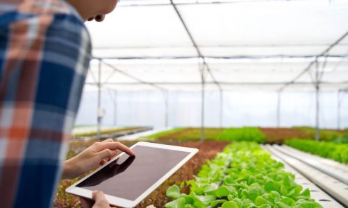 ข้อดีของ Smart Farm ต้องบอกเลยว่าเกี่ยวกับการเกษตรที่สายเทคโนโลยีห้ามพลาด